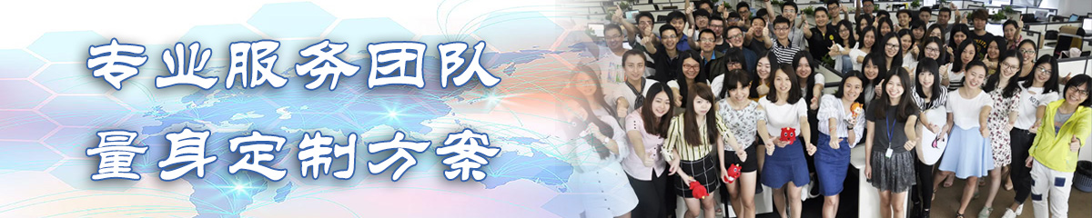 东营BI软件